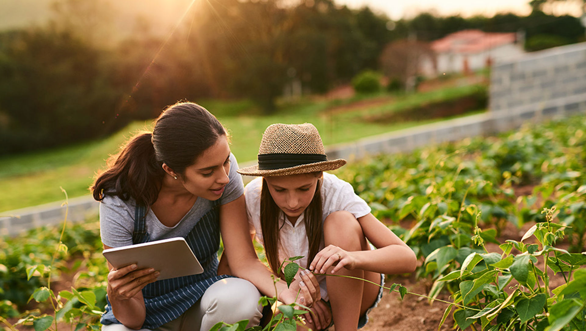 Women in a field assessing crops using a tablet device